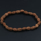 2 Mukhi Rudraksha Bracelet