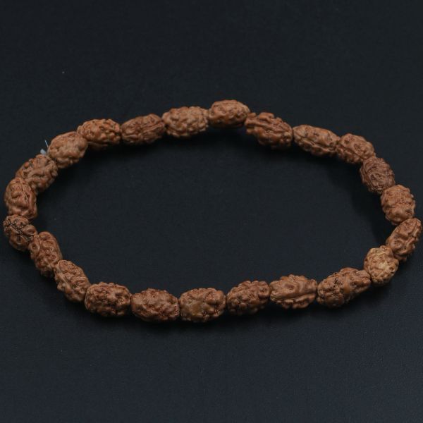2 Mukhi Rudraksha Bracelet