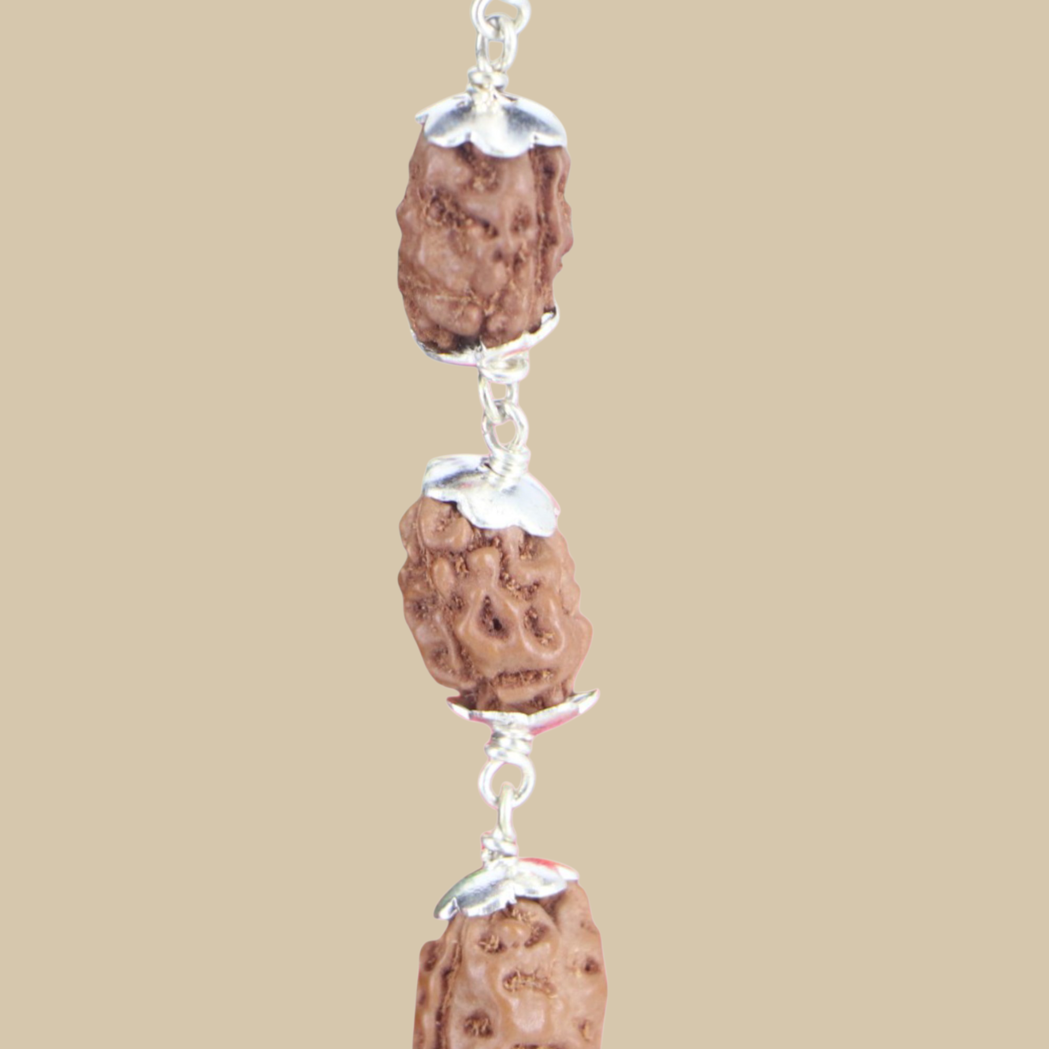 2 Mukhi Rudraksha Mala - Silver
