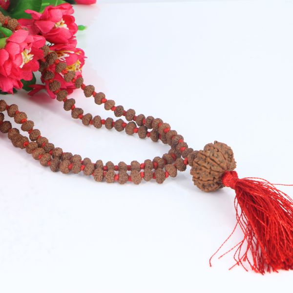 "Premium original 10 Mukhi Rudraksha Mala with 10 Mukhi Meru, crafted with authentic Rudraksha beads for spiritual significance and traditional elegance."