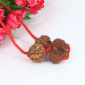 "Premium Shiv Parivar Rudraksha Kavach with original 6 Mukhi Rudraksha, Gaurishankar Rudraksha, and Ganesh Rudraksha, crafted with spiritual significance and traditional elegance."