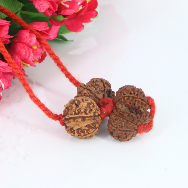 "Premium Shiv Parivar Rudraksha Kavach with original 6 Mukhi Rudraksha, Gaurishankar Rudraksha, and Ganesh Rudraksha, crafted with spiritual significance and traditional elegance."