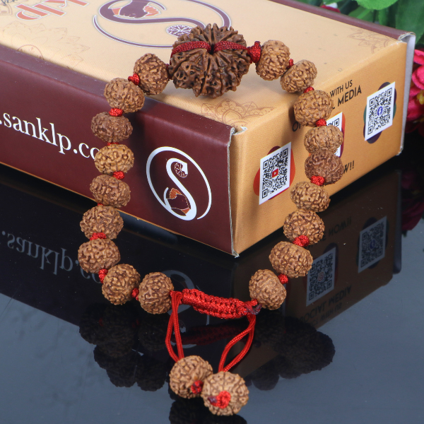 "Premium 10 Mukhi Rudraksha Bracelet with original Nepali and Indonesian Rudraksha beads, crafted for spiritual significance and traditional elegance."