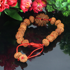 "Premium 10 Mukhi Rudraksha Bracelet with original Nepali and Indonesian Rudraksha beads, crafted for spiritual significance and traditional elegance."