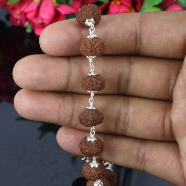 10 Mukhi Rudraksha Bracelet