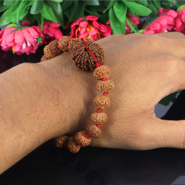 "Premium 10 Mukhi Rudraksha Bracelet with original Nepali and Indonesian Rudraksha beads, crafted for spiritual significance and traditional elegance."