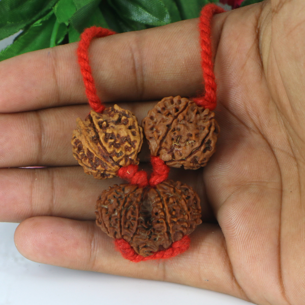 "Premium Shiv Parivar Rudraksha Kavach with original 6 Mukhi Rudraksha, Gaurishankar Rudraksha, and Ganesh Rudraksha, crafted with spiritual significance and traditional elegance."