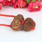 "Premium Shiv Parivar Rudraksha Kavach with original 6 Mukhi Rudraksha, Gaurishankar Rudraksha, and Ganesh Rudraksha, crafted with spiritual significance and traditional elegance."