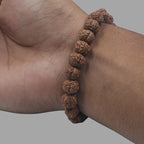 5 Mukhi Rudraksha Bracelet