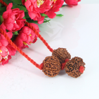 "Premium Business Rudraksha Kavach for Female with two original 7 Mukhi Rudraksha beads and one 9 Mukhi Rudraksha, crafted with spiritual significance and traditional elegance."