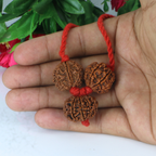 "Premium Business Rudraksha Kavach for Female with two original 7 Mukhi Rudraksha beads and one 9 Mukhi Rudraksha, crafted with spiritual significance and traditional elegance."
