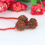 "Premium Business Rudraksha Kavach for Female with two original 7 Mukhi Rudraksha beads and one 9 Mukhi Rudraksha, crafted with spiritual significance and traditional elegance."