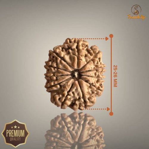 11 Mukhi Nepali Rudraksha with authentic natural bead, premium sacred Rudraksha associated with courage, confidence, spiritual growth, and positive energy