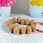 "Premium original 12 Mukhi Nepali Rudraksha Bracelet crafted with authentic Rudraksha beads, valued for spiritual significance and traditional elegance."