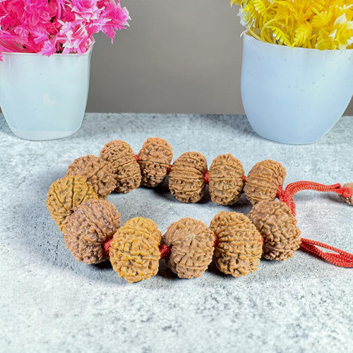 "Premium original 12 Mukhi Nepali Rudraksha Bracelet crafted with authentic Rudraksha beads, valued for spiritual significance and traditional elegance."