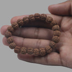 5 Mukhi Rudraksha Bracelet
