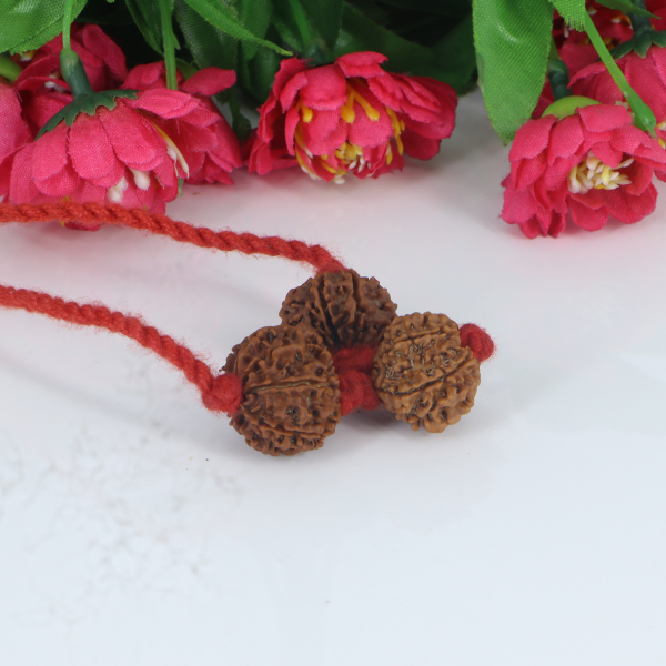 "Premium Nav Devi Kavach with original 7 Mukhi, 8 Mukhi, and 9 Mukhi Rudraksha beads, crafted with spiritual significance and traditional elegance."