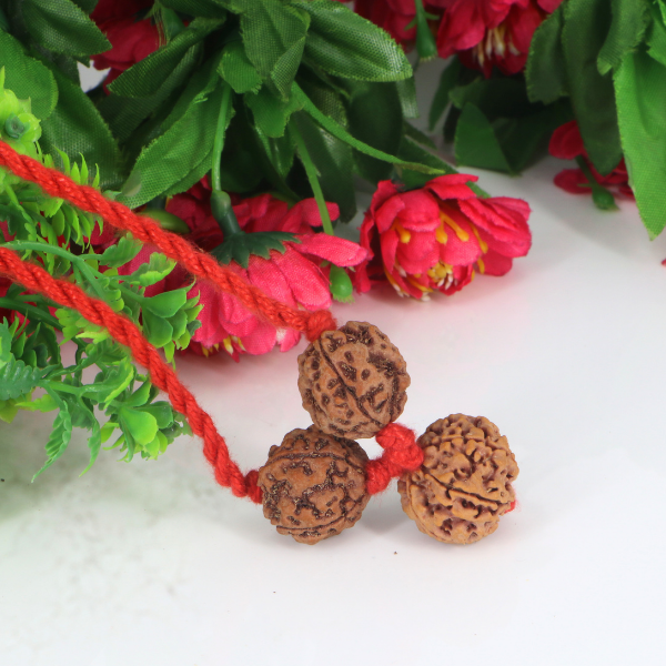 "Premium Saraswati Bandha Kavach with two original 4 Mukhi Rudraksha beads and one 6 Mukhi Rudraksha, crafted with spiritual significance and traditional elegance."