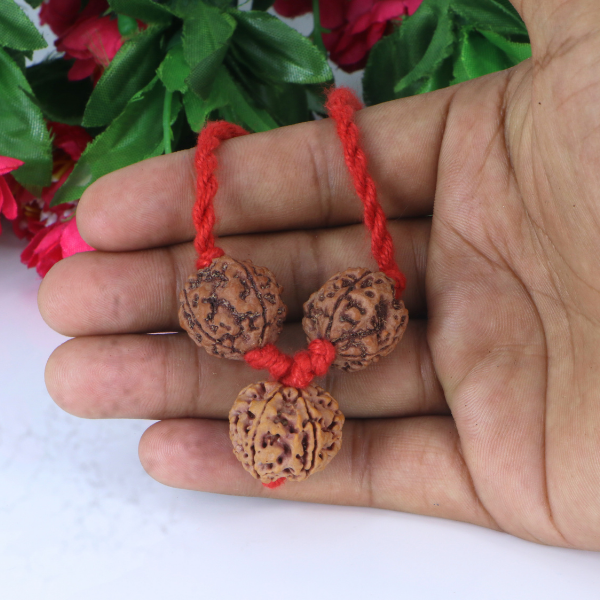"Premium Saraswati Bandha Kavach with two original 4 Mukhi Rudraksha beads and one 6 Mukhi Rudraksha, crafted with spiritual significance and traditional elegance."