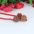 "Premium Saraswati Bandha Kavach with two original 4 Mukhi Rudraksha beads and one 6 Mukhi Rudraksha, crafted with spiritual significance and traditional elegance."