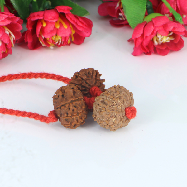 "Premium Kaal Sarp Dosh Kavach with original 8 Mukhi, 9 Mukhi, and 10 Mukhi Rudraksha beads, crafted with spiritual significance and traditional elegance."