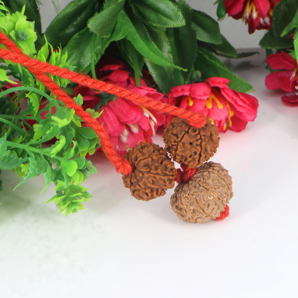 "Premium Kaal Sarp Dosh Kavach with original 8 Mukhi, 9 Mukhi, and 10 Mukhi Rudraksha beads, crafted with spiritual significance and traditional elegance."