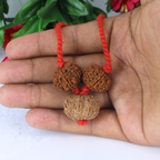 "Premium Kaal Sarp Dosh Kavach with original 8 Mukhi, 9 Mukhi, and 10 Mukhi Rudraksha beads, crafted with spiritual significance and traditional elegance."