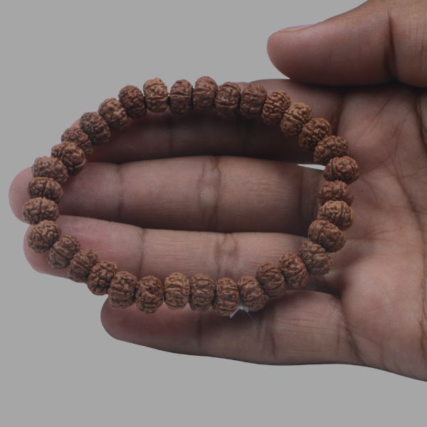 6 Mukhi Rudraksha Bracelet
