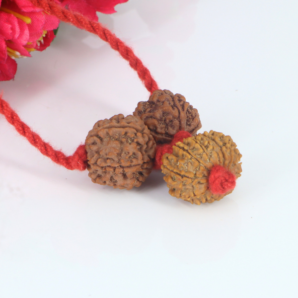 "Premium Rudraksha Kavach for Attraction & Luxury with two original 6 Mukhi Rudraksha beads and one 13 Mukhi Rudraksha, crafted with spiritual significance and traditional elegance."