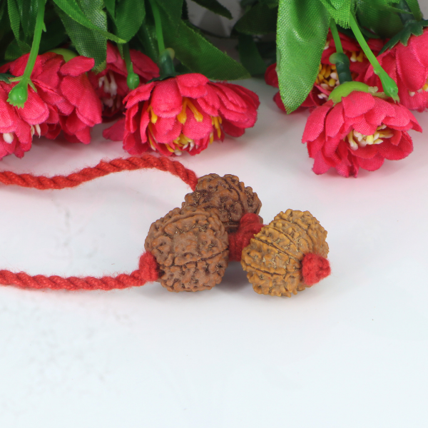 "Premium Rudraksha Kavach for Attraction & Luxury with two original 6 Mukhi Rudraksha beads and one 13 Mukhi Rudraksha, crafted with spiritual significance and traditional elegance."