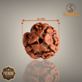 3 MUKHI RUDRAKSHA (SMALL) - NEPALI BEAD