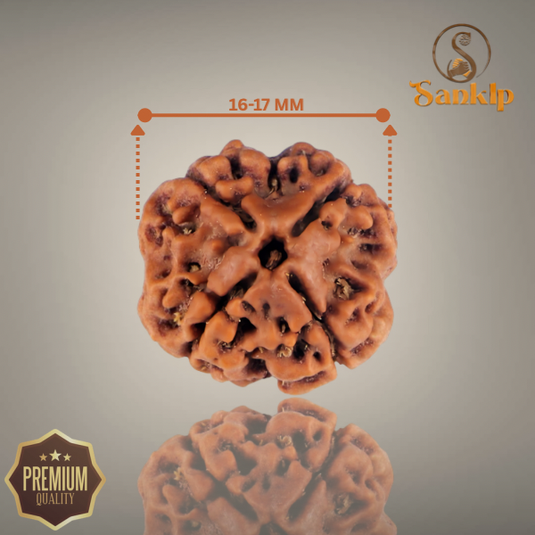 4 MUKHI RUDRAKSHA (SMALL )- NEPALI BEAD