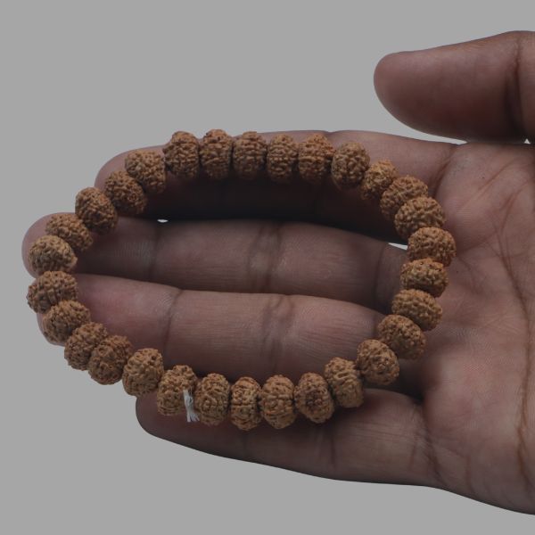 7  Mukhi Rudraksha Bracelet