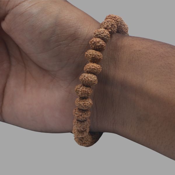 7  Mukhi Rudraksha Bracelet