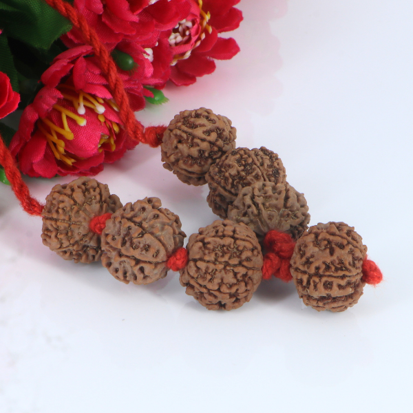 "Premium Shani Sade Sati Kavach with seven original 7 Mukhi Rudraksha beads, crafted with spiritual significance and traditional elegance."