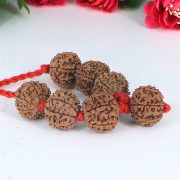 "Premium Shani Sade Sati Kavach with seven original 7 Mukhi Rudraksha beads, crafted with spiritual significance and traditional elegance."