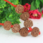 "Premium Shani Sade Sati Kavach with seven original 7 Mukhi Rudraksha beads, crafted with spiritual significance and traditional elegance."