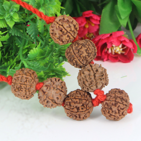 "Premium Shani Sade Sati Kavach with seven original 7 Mukhi Rudraksha beads, crafted with spiritual significance and traditional elegance."