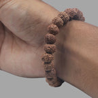 9 Mukhi Rudraksha Bracelet