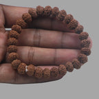 10 Mukhi Rudraksha Bracelet