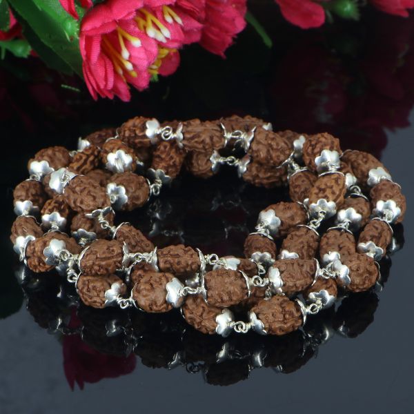 2 Mukhi Rudraksha Mala - German Silver