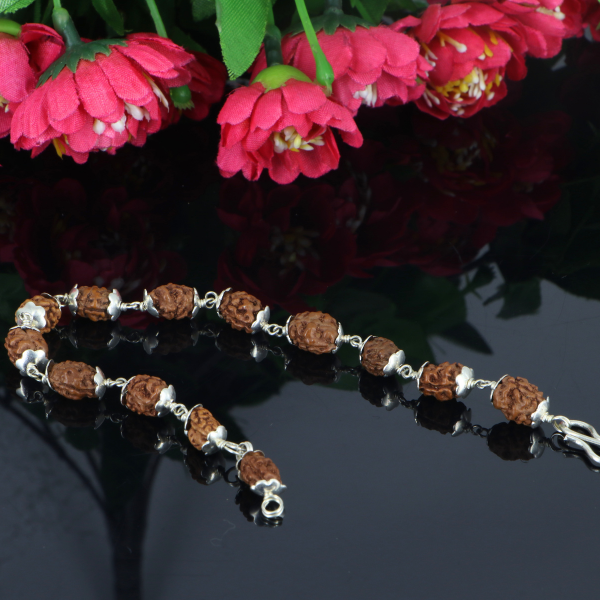 2 Mukhi Rudraksha Bracelet