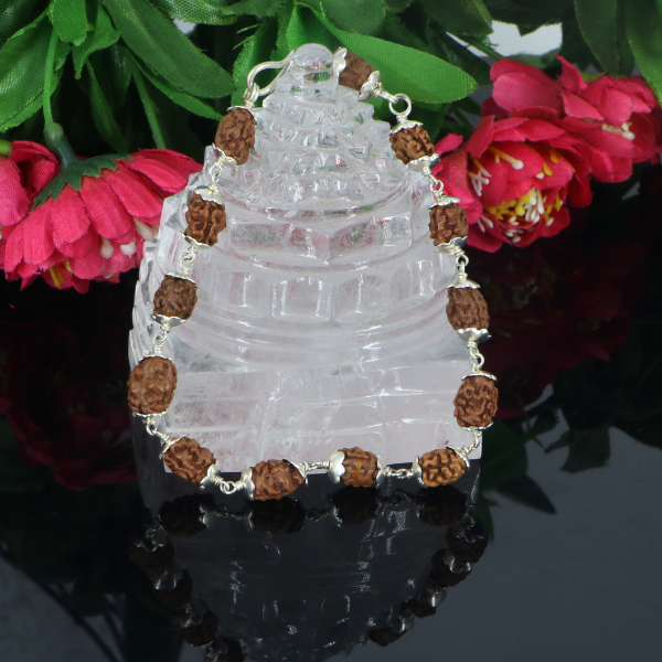2 Mukhi Rudraksha Bracelet