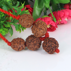 "Premium Rudraksha Kavach to Improve Health with two original 3 Mukhi Rudraksha beads and three 5 Mukhi Rudraksha beads, crafted with spiritual significance and traditional elegance."