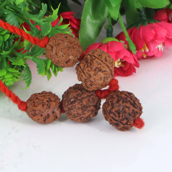 "Premium Rudraksha Kavach to Improve Health with two original 3 Mukhi Rudraksha beads and three 5 Mukhi Rudraksha beads, crafted with spiritual significance and traditional elegance."