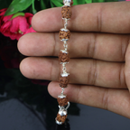 2 Mukhi Rudraksha Bracelet