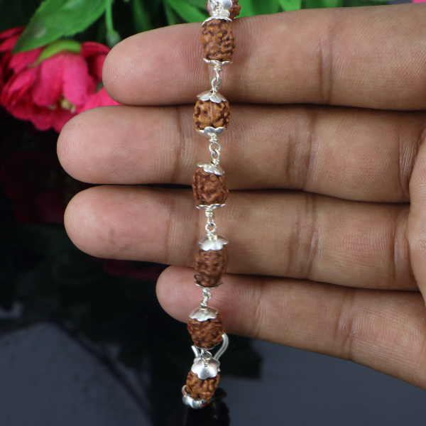 2 Mukhi Rudraksha Bracelet
