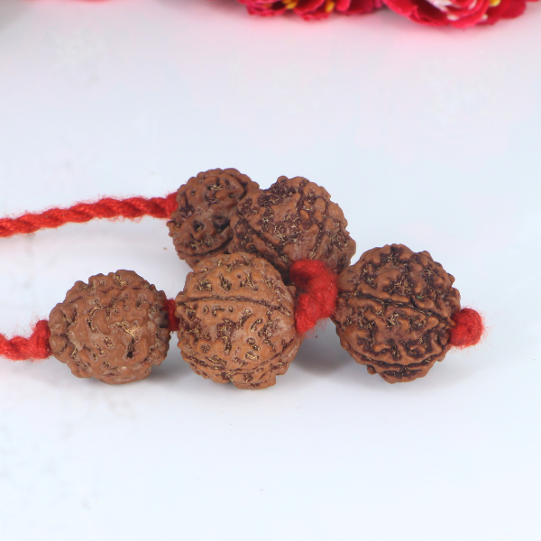 "Premium Rudraksha Kavach to Improve Health with two original 3 Mukhi Rudraksha beads and three 5 Mukhi Rudraksha beads, crafted with spiritual significance and traditional elegance."