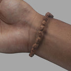 2 Mukhi Rudraksha Bracelet