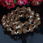 10 Mukhi Rudraksha Mala - Silver